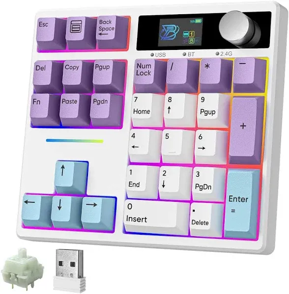 BOYI TD31Pro Mechanical Number Pad,Bluetooth5.0/2.4G/Type-C Wireless Numeric Keypad,RGB HotSwap Numpad with Screen&Knob,PBT Keycap Rechargeable Gasket Number keypad for PC Laptop Desktop(White-Purple)