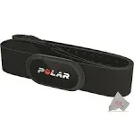 Polar Equine Belt for Riding+Polar H10