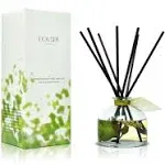 Eucalyptus Essential Oil Reed Diffuser Gift Set | Revive | Fresh Eucalyptus, Sag