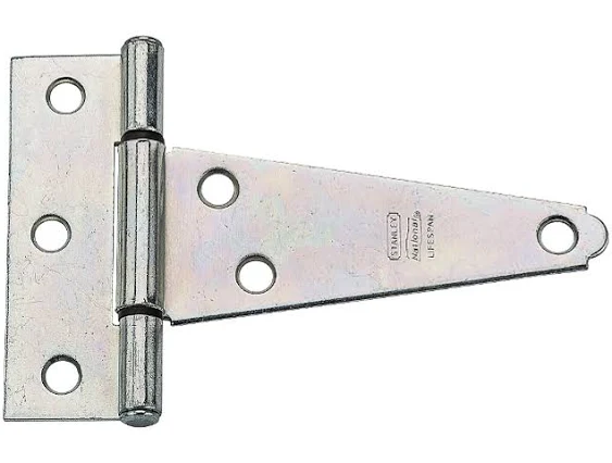 10 T Hinge