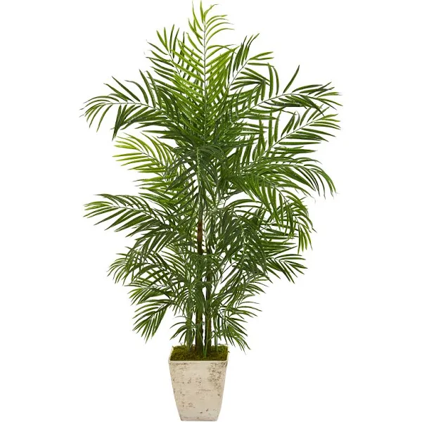 Nearly Natural 63in. Areca Artificial Palm Tree in Country White Planter UV Resistant (Indoor/Outdoor)