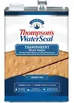 Thompsons Waterseal WaterSeal Transparent Waterproofing Stain