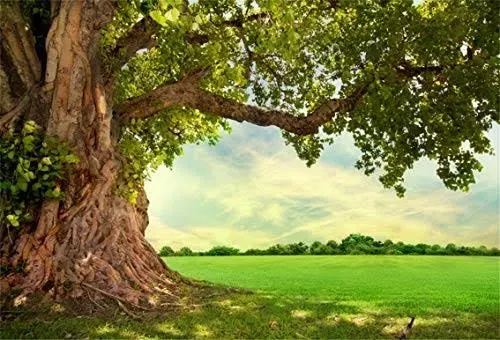 10x7ft Huge Tree Backdrop Rural Scenery Field Spring Summer Countryside Outdo...