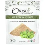 Organic Traditions Organic Amla Berry Powder, Powdered Amla Indian Gooseberry, Non-GMO Organic Powdered Fruit Superfood, 1lb Bag 16oz (454g)