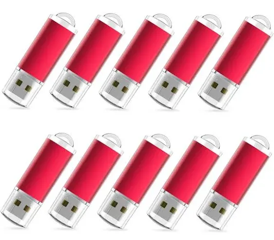 RAOYI 10PCS 2G USB Flash Drive USB 2.0 Memory Stick Thumb Drive Pen Drive Jump Drive-Red