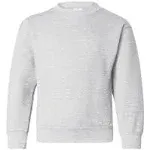 Hanes P360 Ecosmart Youth Full Sleeve Crewneck Sweatshirt