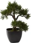 Artificial 15&#034; Cedar Bonsai Holiday Floral Flowers Decor