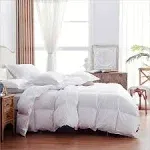 Luxurious Feathers Down Comforter Queen Size, Fluffy Hotel Collection Duvet Insert