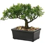 Artificial Bonsai Tree Juniper Faux Plants Indoor Small Fake Plants Decor with Ceramic Pots for Home Table Office Desk Bathroom Shelf Bedroom Living Room Farmhouse Decorations