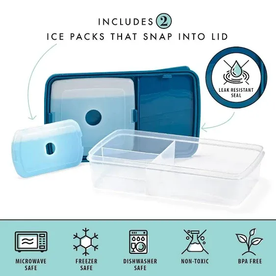 Fit & Fresh Bento Box with Ice Packs