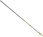 6 Hunter XT 340 Gold Tip Arrows