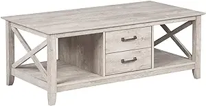 Saint Birch Honduras Wood Coffee Table with 2 Drawers in Washed Gray