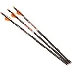 Ravin Crossbows .003 400gr. Match-Grade Lighted Arrows (3-pack