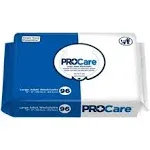 First Quality ProCare Personal Wipes Soft Pack Case of 576