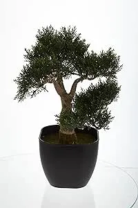 Nearly Natural 4966 Cedar Bonsai Artificial Tree, 15-Inch, Green