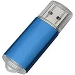 RAOYI 10Pack 2G 2GB USB Flash Drive USB 2.0 Memory Stick Thumb Drive Pen Drive Blue