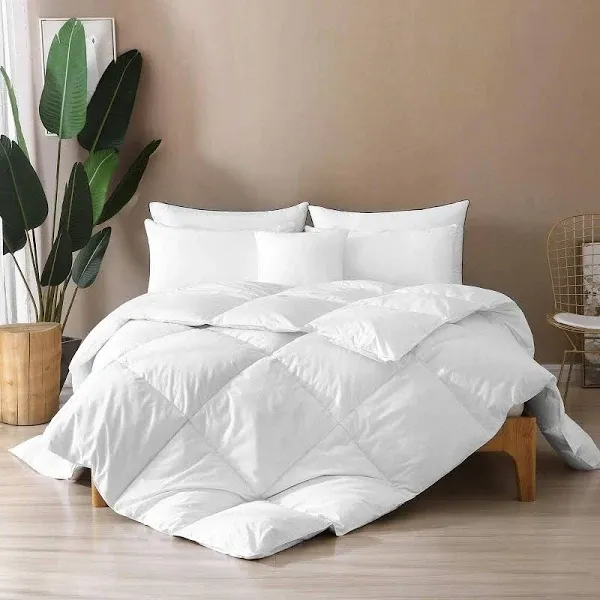 BPC Summer Twin Size Down Comforter Lightweight Feather Down 68x90 Inches Duvet Insert with 100% Cotton Cover and 4 Corner Loops