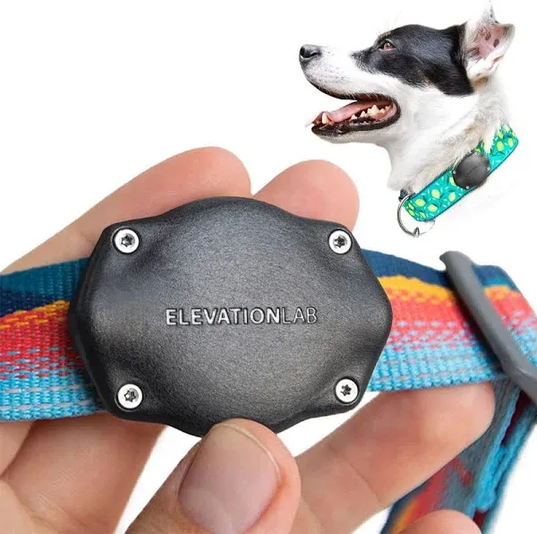 Airtag Dog Collar Mount 2-Pack (Glow in The Dark)