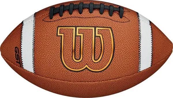 Wilson Composite Football