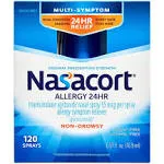 Nasacort Allergy 24 Hour Spray - 120 count