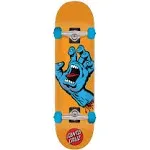 Santa Cruz Complete Skateboard