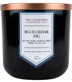 Chesapeake Bay Candle - TA35215 The Collection Two-Wick Scented Candle, Blue Ced