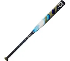 Louisville Slugger 2024 FP LXT -10 Fastpitch Bat 31&#034; 21 OZ