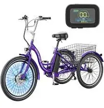 Barbella 24inch Adult Electric Trike Tricycle 350W 36V Removal Battery Charge  | eBay