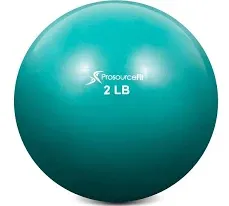 ProsourceFit Weighted Toning Exercise Balls