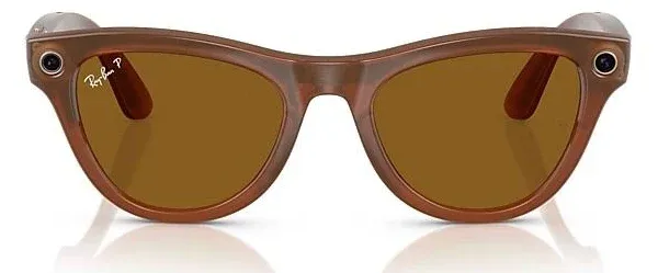 RAY-BAN META SKYLER RW 4010