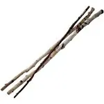 Wilson Enterprises, Inc. Natural White Birch Sticks