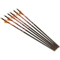 Ravin .003 Arrows 6 Pack