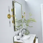 TEHOME Woodvale Rectangle Vertical Metal Wall Mirrors - 30" x 20" - Brushed Gold