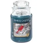 Yankee Candle Holiday Edition SPARKLING BALSAM Large 22oz Jar Retired