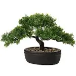 Briful Artificial Bonsai Tree Juniper Faux Plants Indoor Small Fake Plants Decor with Ceramic Pots for Home Table Office Desk Bathroom Shelf Bedroom