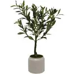 Elements 21 in. Green Artificial Olive Tree in Aged Teracotta Pot