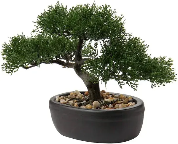 Realistic Japanese Style Bonsai Tree with Ceramic Pot - No Maintenance Required