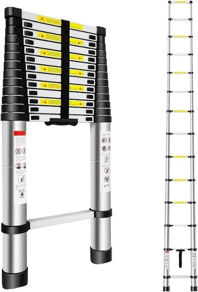 Telescoping Ladder