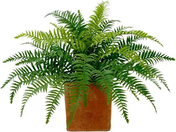 Nearly Natural 22in. Artificial Fern Plant in Decorative Planter