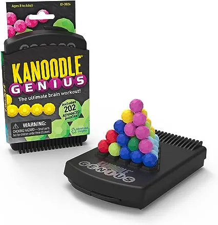 Kanoodle Genius Educational Insights