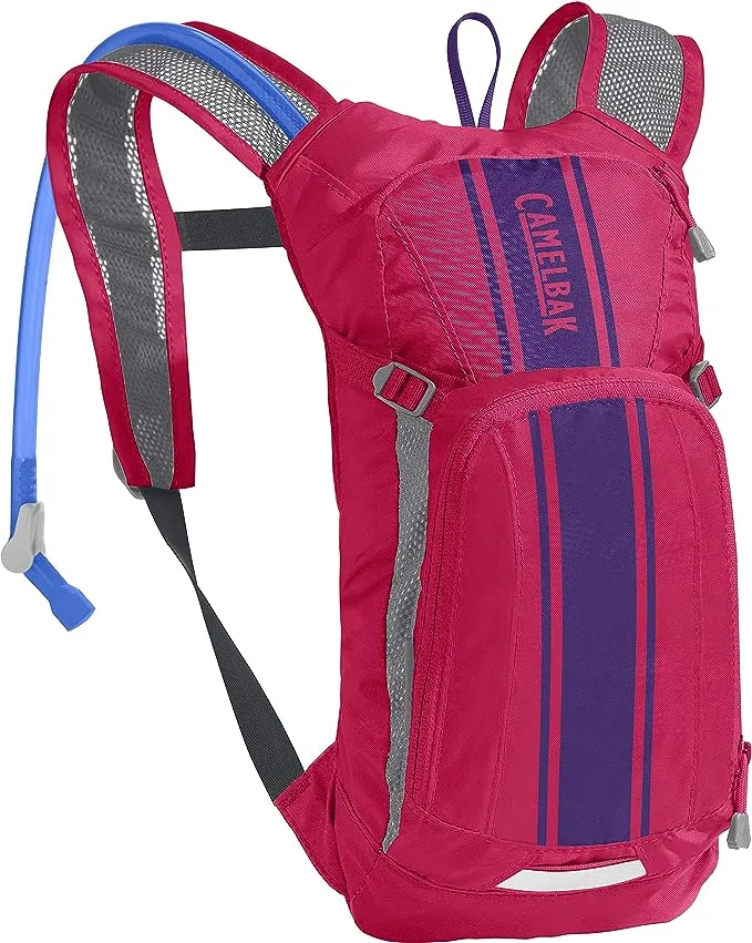 Camelbak Bag, Hot Pink/Purple Stripe, MULE, Mini