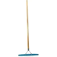 Grandi Groom AB24 Carpet Rake, 18-Inch Head, 54-Inch Handle, Blue