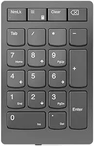 Lenovo Go Wireless Numeric Keypad - Wireless Connectivity - RF - 2.40 GHz Calculator, TAB, Equal, Esc Hot Key(s) - PC - Scissors Keyswitch - Storm Gray