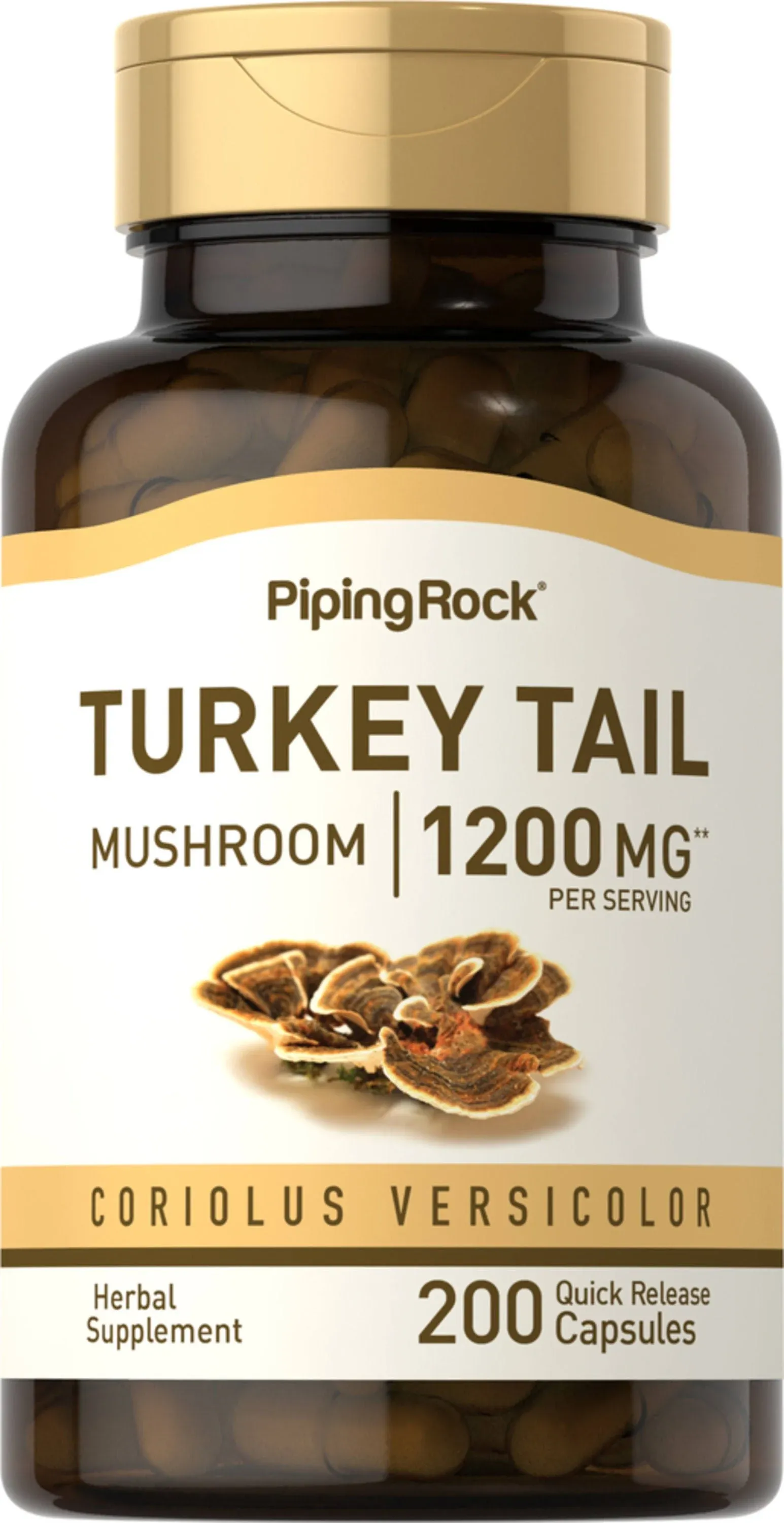 Piping Rock Turkey Tail Mushroom Capsules