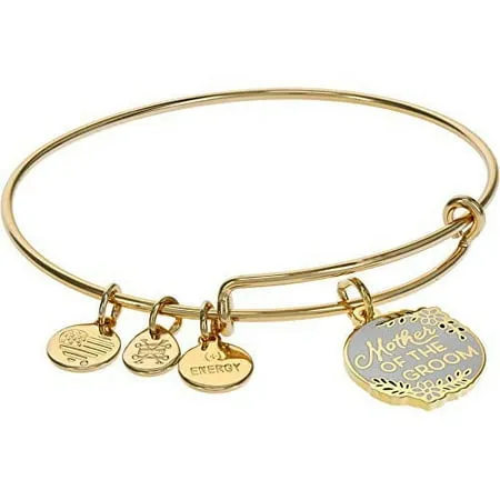 Alex and Ani Mother of the Bride Color Infusion Bangle Bracelet