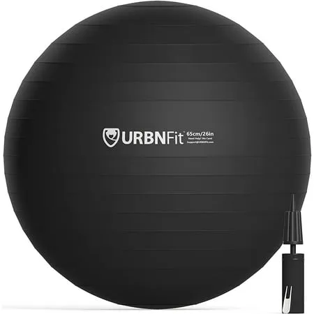 URBNFit Exercise Ball 65 cm for Stability & Yoga - Workout Guide...