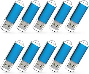 RAOYI 10 Pack 1GB 1G USB Flash Drive USB 2.0 Memory Stick Bulk Thumb Drive Pen Drive Blue