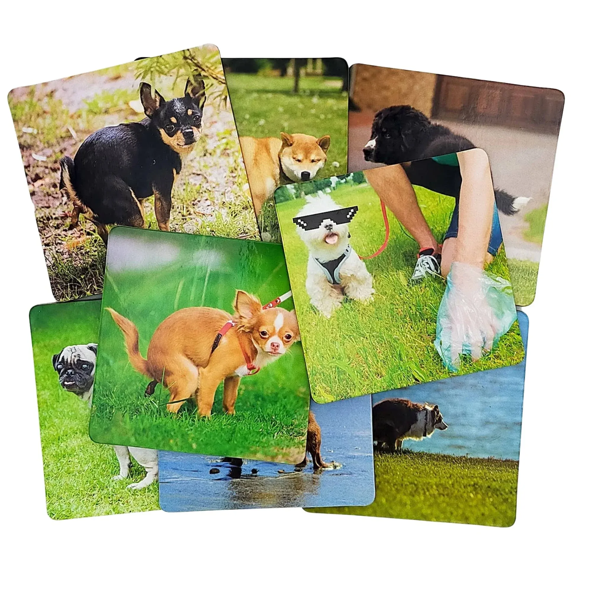 8 Pooping Dogs Funny Coasters for Drinks - Absorbent Cork Base Home Decor Coaster Set for Tabletop Protection, Dog Decor for Dog Lovers, Hilarious Drink Coasters Set Gag