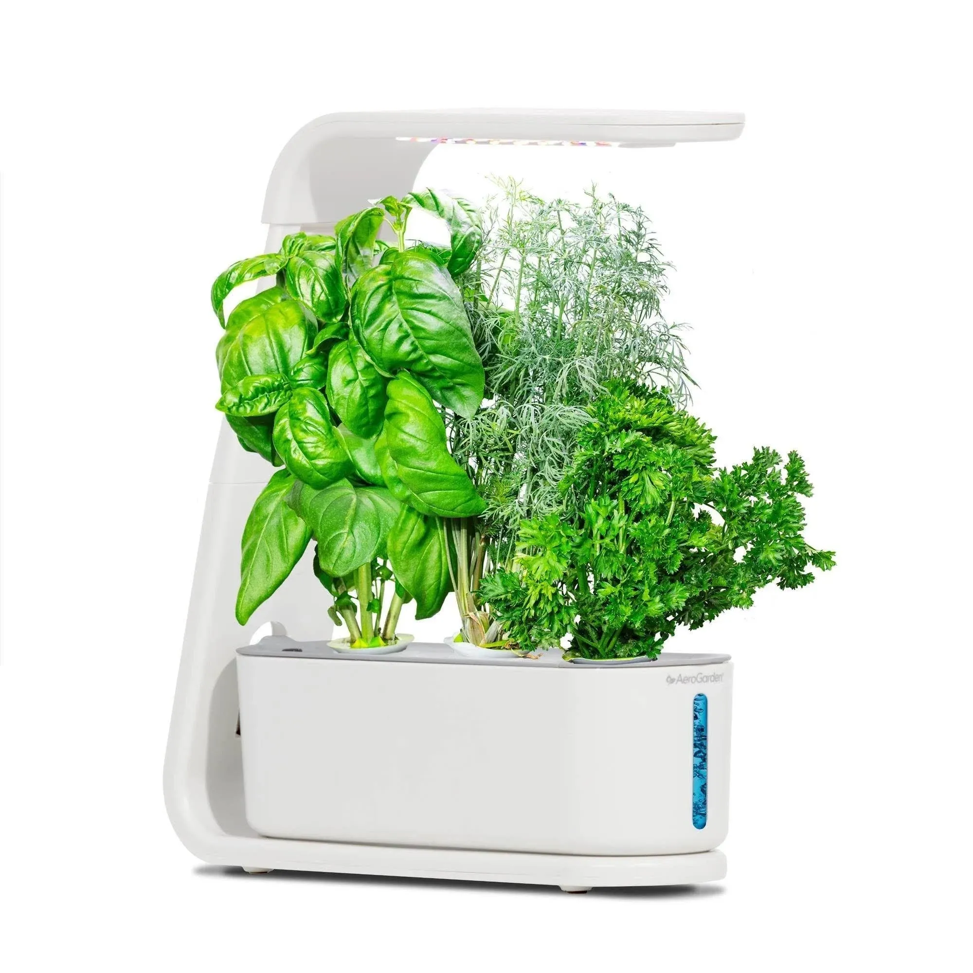 AeroGarden Sprout with Gourmet Herbs Seed Pod Kit - Hydroponic Indoor Garden, Black