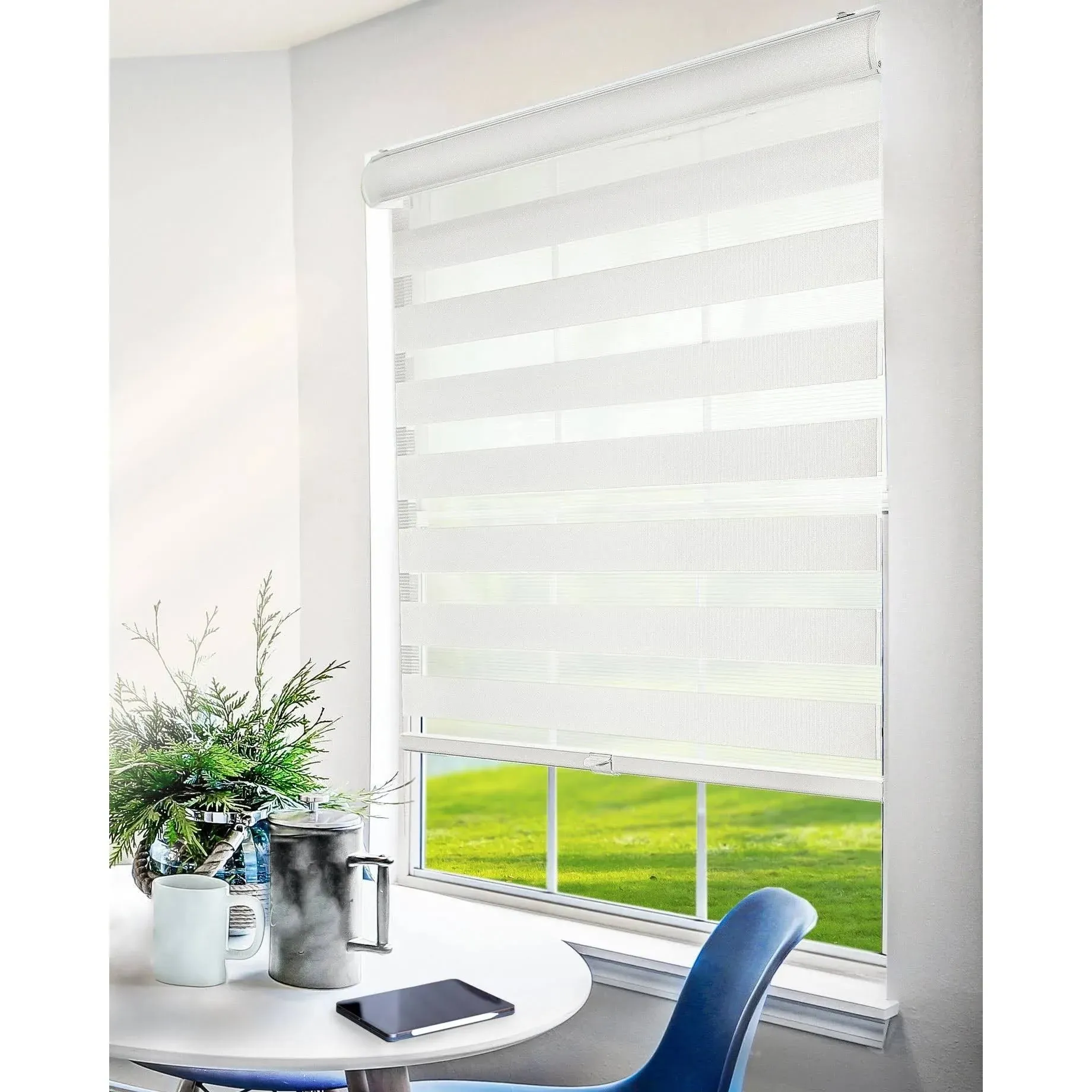 Chicology Zebra Blinds Roller Window Shades Blinds for Windows Roller Shades for Windows